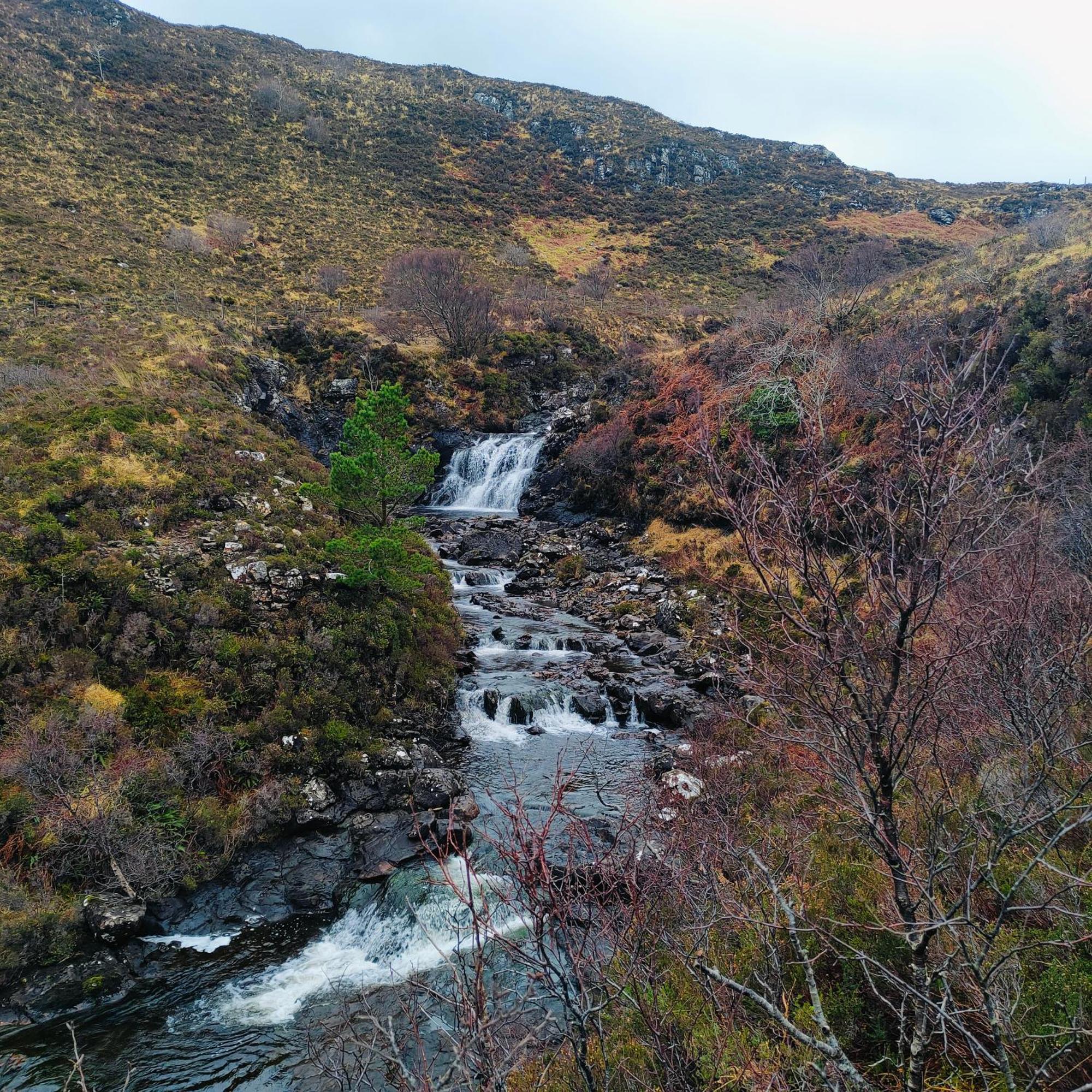 Kintyre Caravan พอทรี ภายนอก รูปภาพ