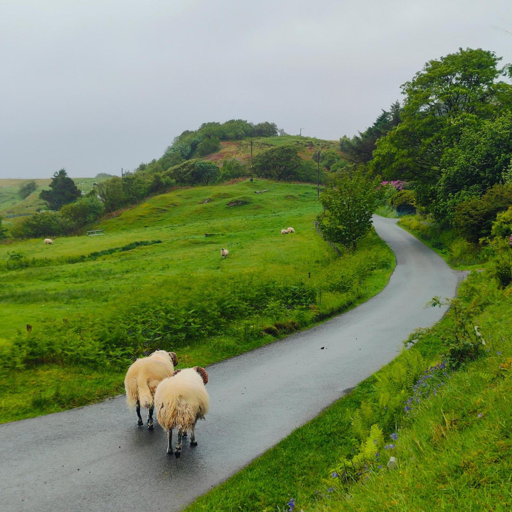 Kintyre Caravan พอทรี ภายนอก รูปภาพ