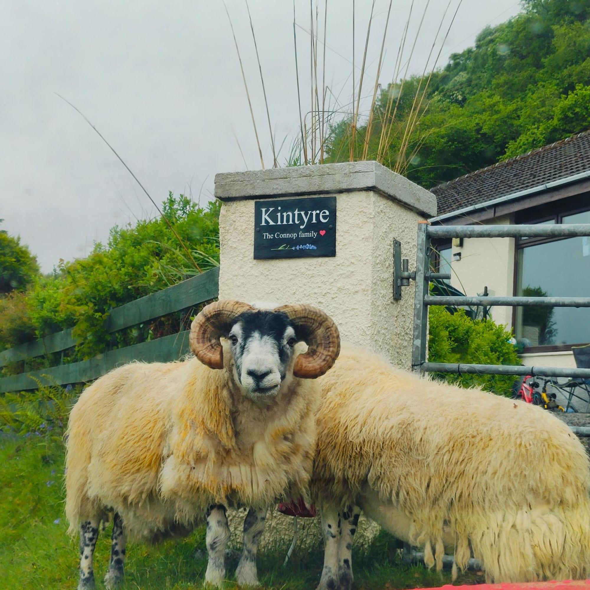 Kintyre Caravan พอทรี ภายนอก รูปภาพ