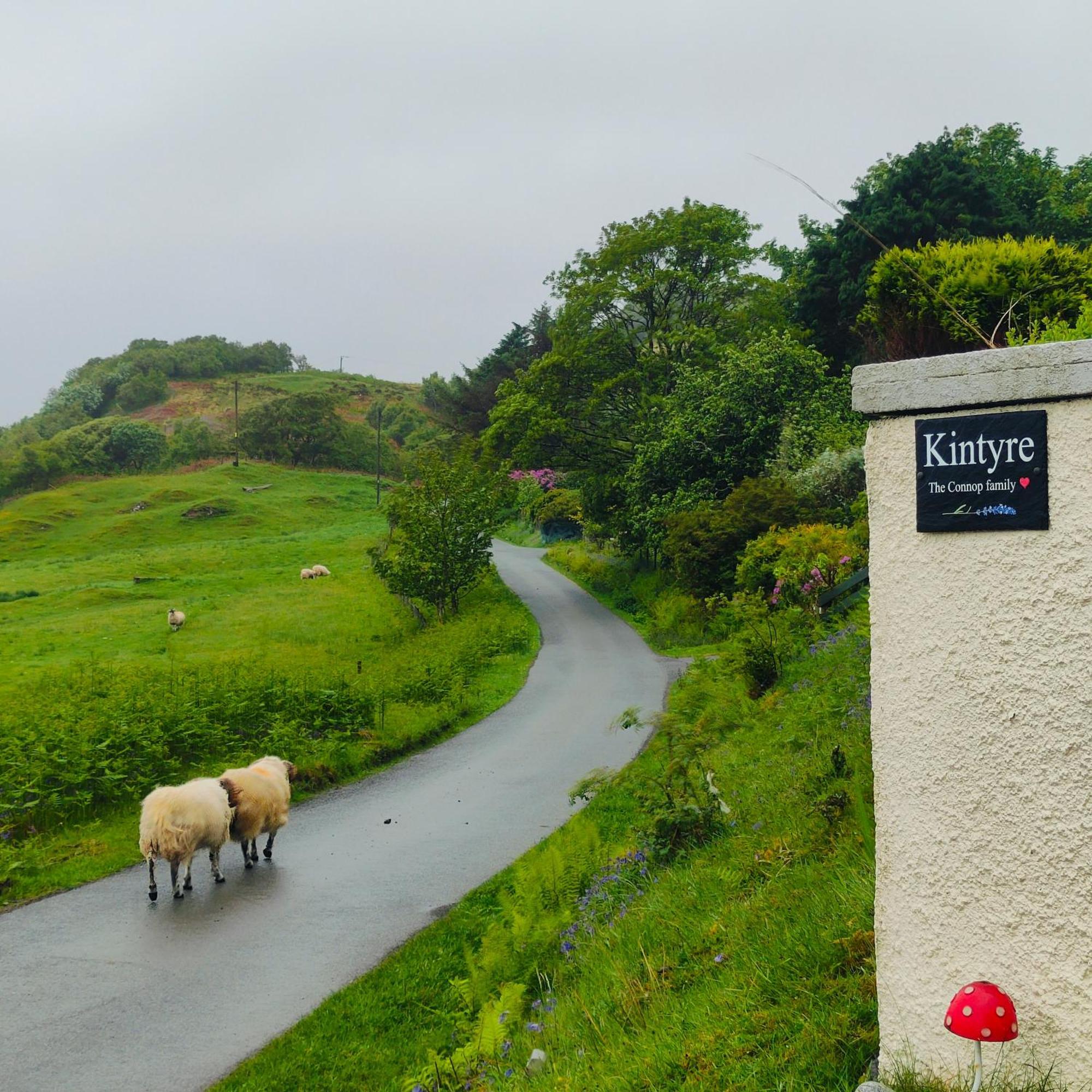 Kintyre Caravan พอทรี ภายนอก รูปภาพ
